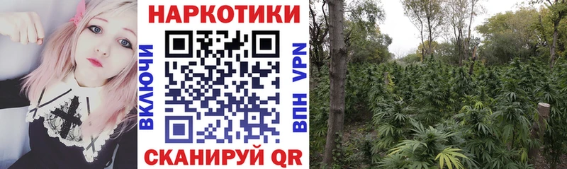 Сколько стоит Буинск Марихуана Меф Гашиш