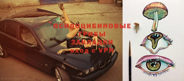 эйфоретик Арсеньев