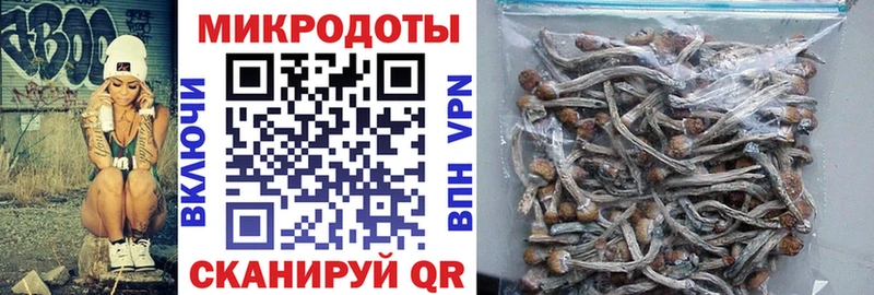 Галлюциногенные грибы MAGIC MUSHROOMS  Буинск 